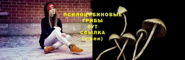 сатива Киреевск