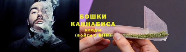 сатива Киреевск