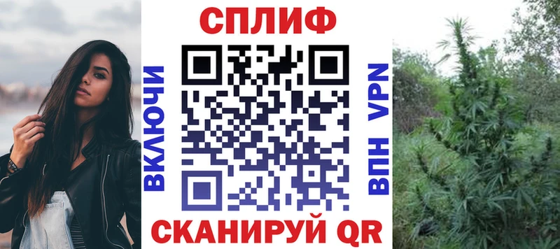 Купить закладки  Шуя  Бошки Шишки MAZAR 
